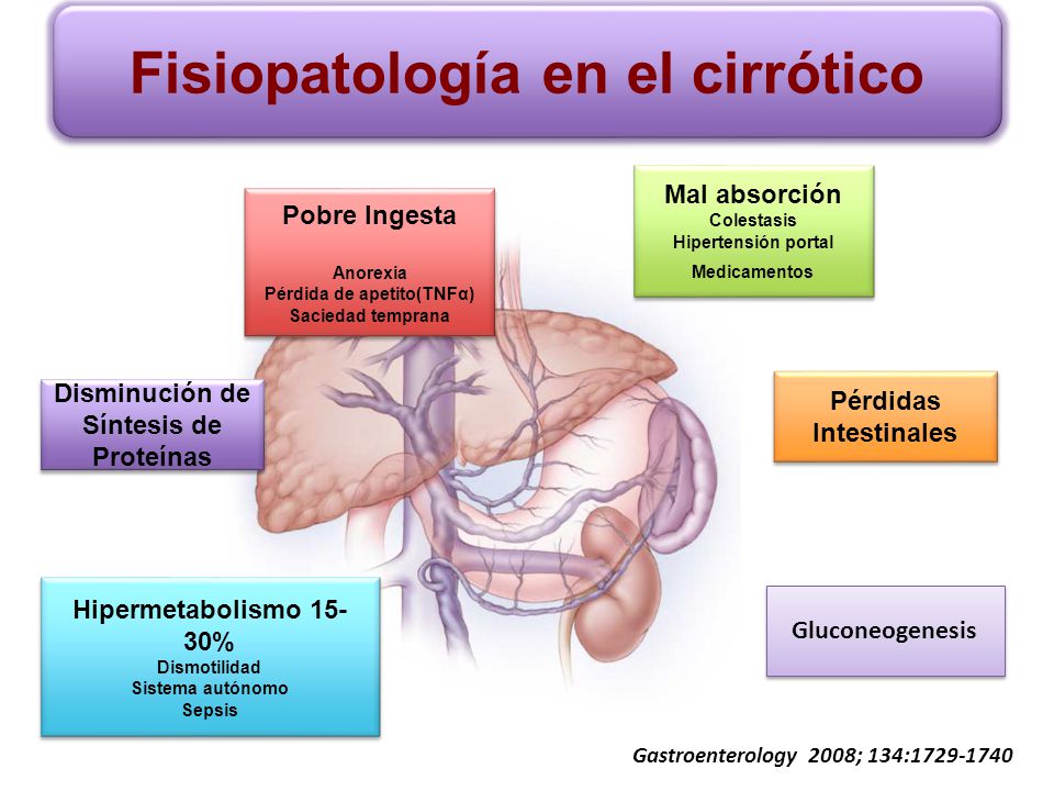 terapia nutricional para la hipertensión portal